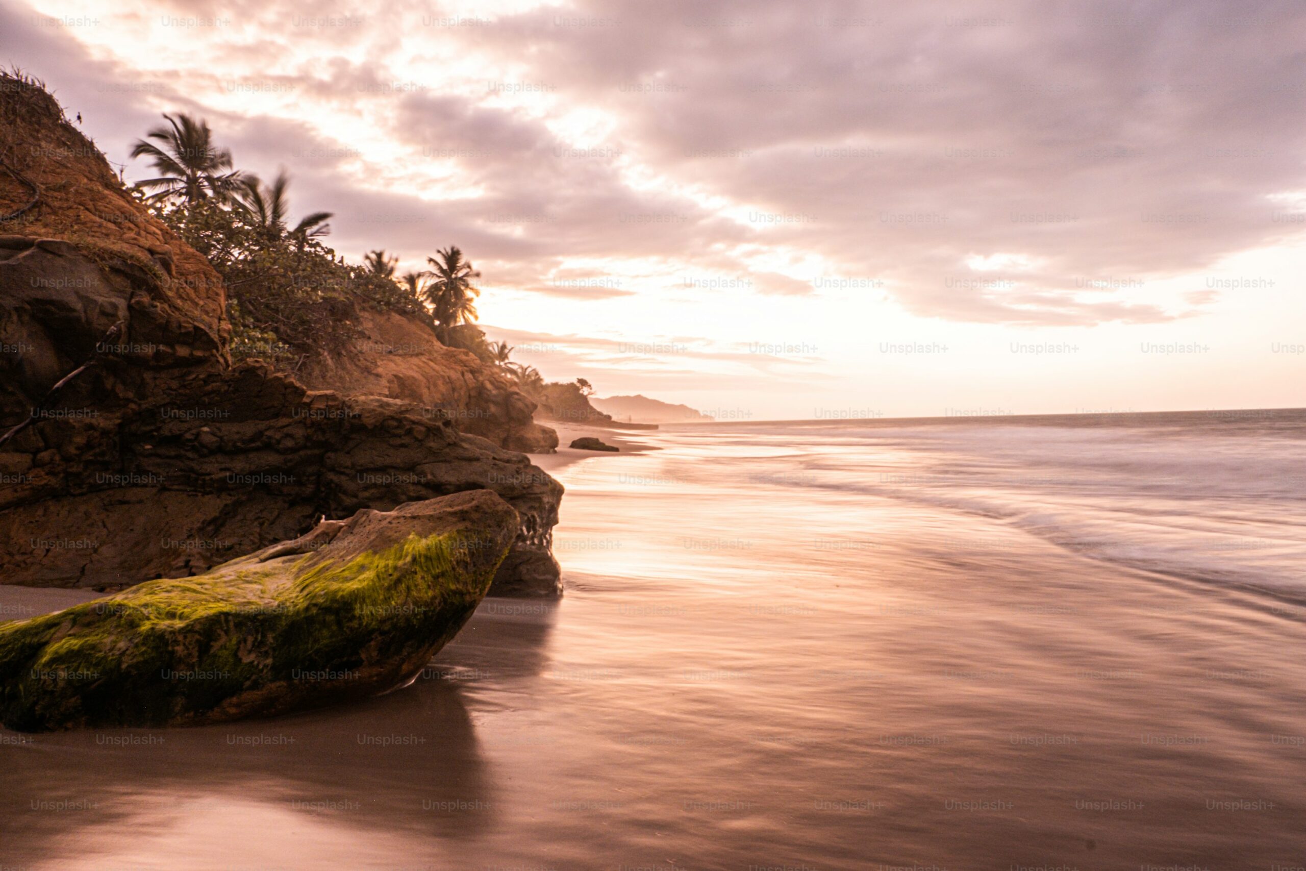 premium_photo-1673306778968-5aab577a7365